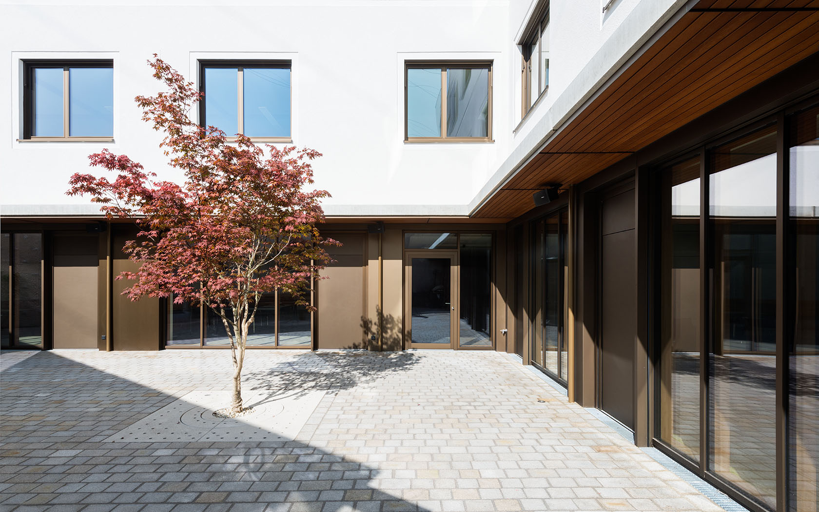 10_Innenhof_Ahorn.jpg